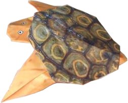 Origami Baby Turtle
