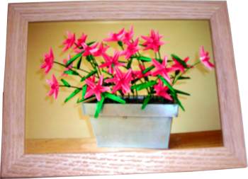 Flowers picture in a frame