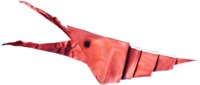 Origami Shrimp