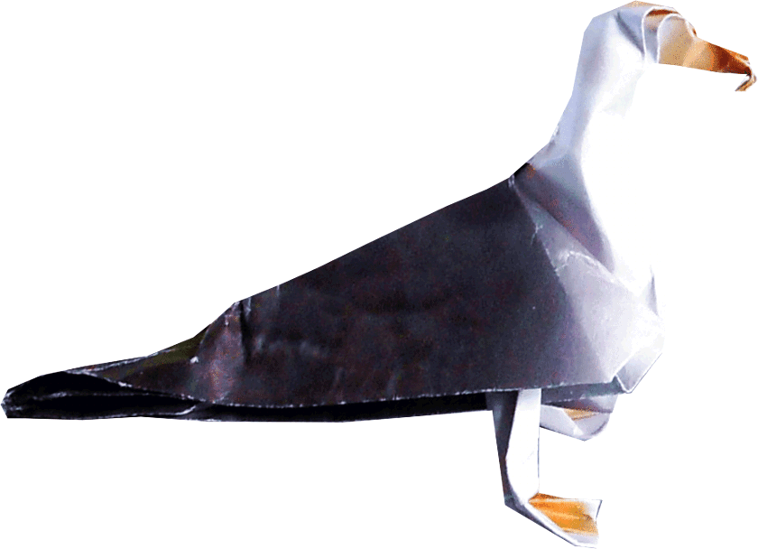 Origami Albatros
