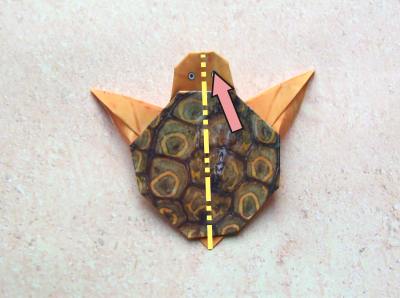 een baby schildpad van papier maken