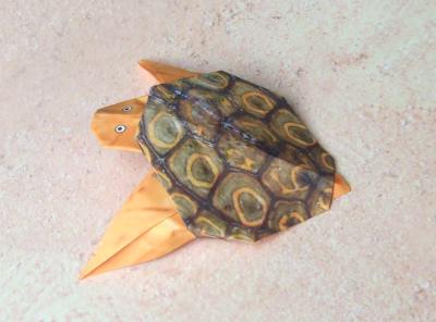 een baby schildpad van papier
