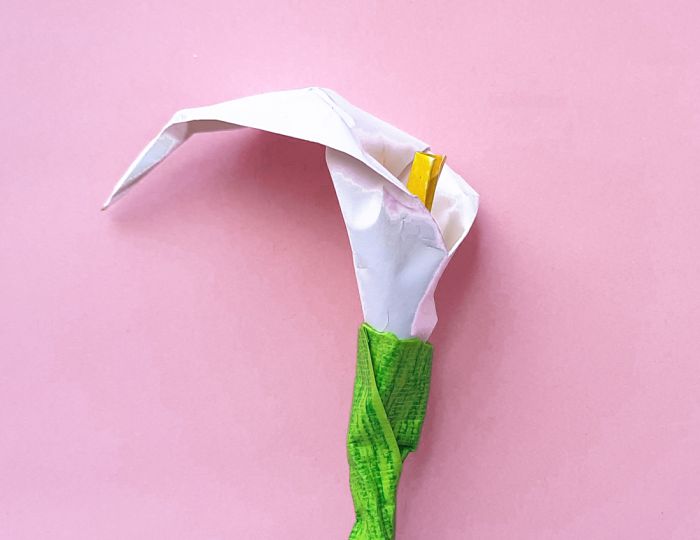 Origami Calla Lily
