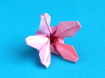 origami cherry blossom diagrams