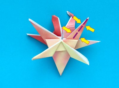 origami crab diagrams