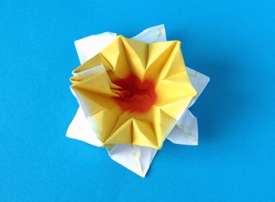 origami daffodil