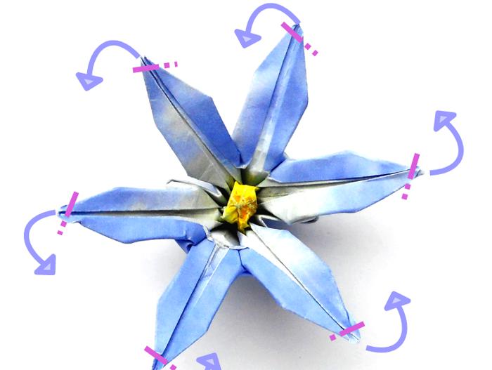 Make Origami Glory of the snow flowers