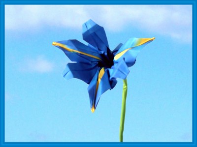beautiful origami iris