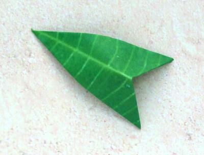 leaf of an origami anthurium