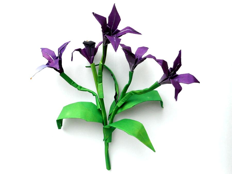 Origami Lily Flowers