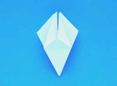 instructions for folding an origami lily with five petals