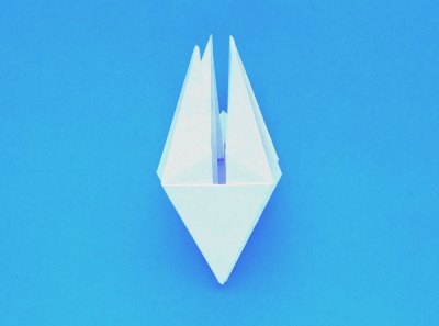 instructions for folding an origami lily with five petals