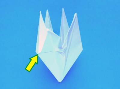 instructions for folding an origami lily with five petals