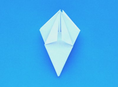 instructions for folding an origami lily with five petals