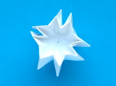 origami lotus flower folding instructions