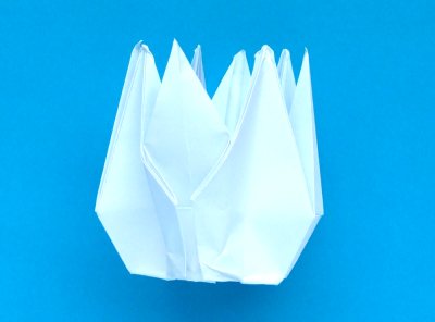origami lotus flower folding instructions
