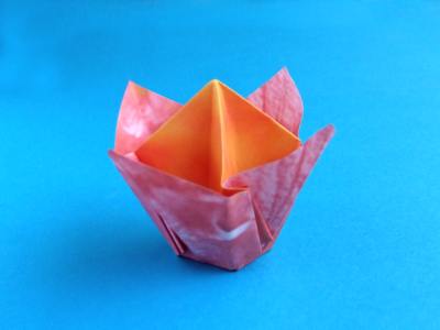modern origami tulip