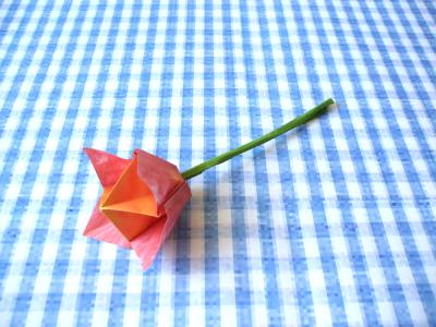 cute and modern origami tulip