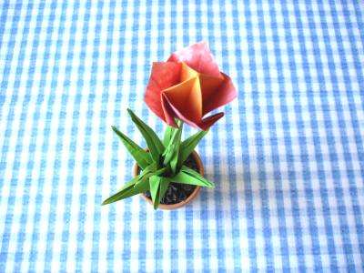 top view of an origami tulip