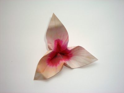 Roze Origami bloemetje