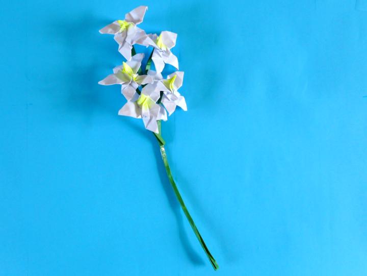 Origami Orchid Flowers