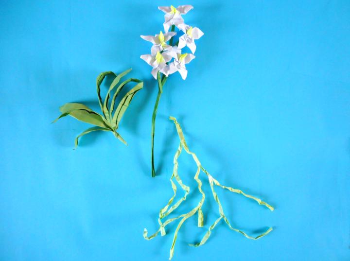 Origami flower with roots