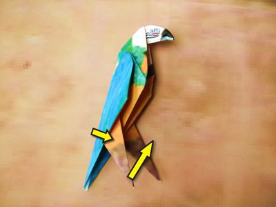 origami parrot