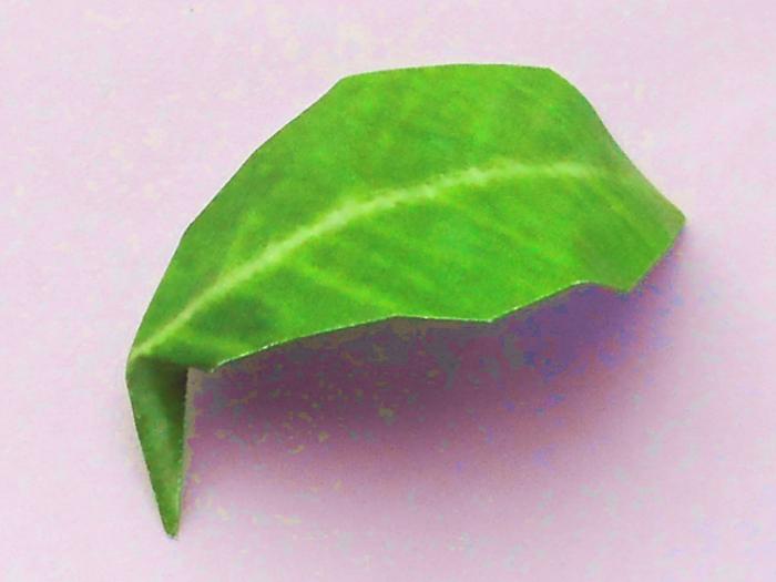Origami Periwinkle Leaf