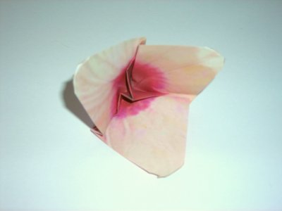 folding a pink origami flower