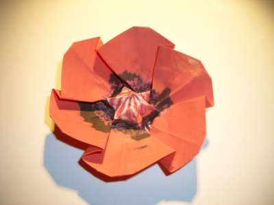 origami poppy