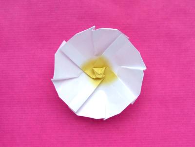 cute origami primrose