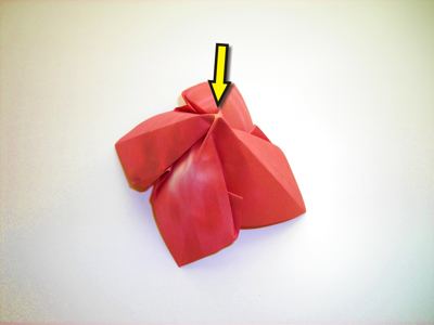 diagrammen voor een rode origami bloem