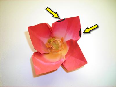 diagrammen voor een rode origami bloem