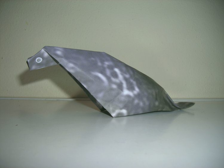 origami zeehond