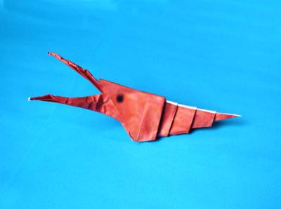 een origami garnaal