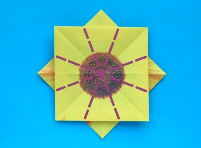 origami sunflower diagrams origami sunflower diagrams