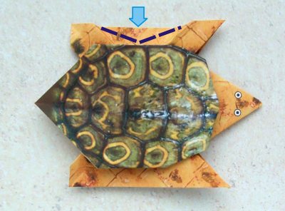 origami turtle diagrams