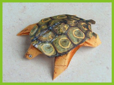 origami turtle with a realistic coloured pattern