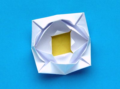 top view of an origami water lily