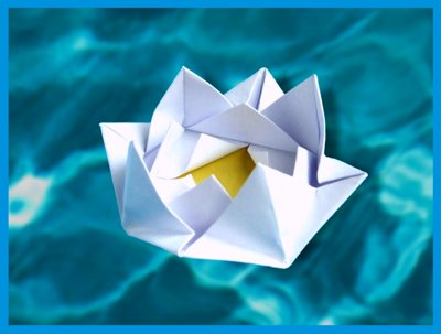 elegant and stylish white origami water lily