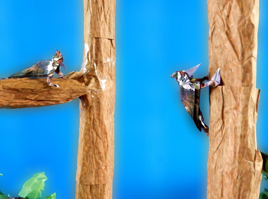 Origami woodpeckers