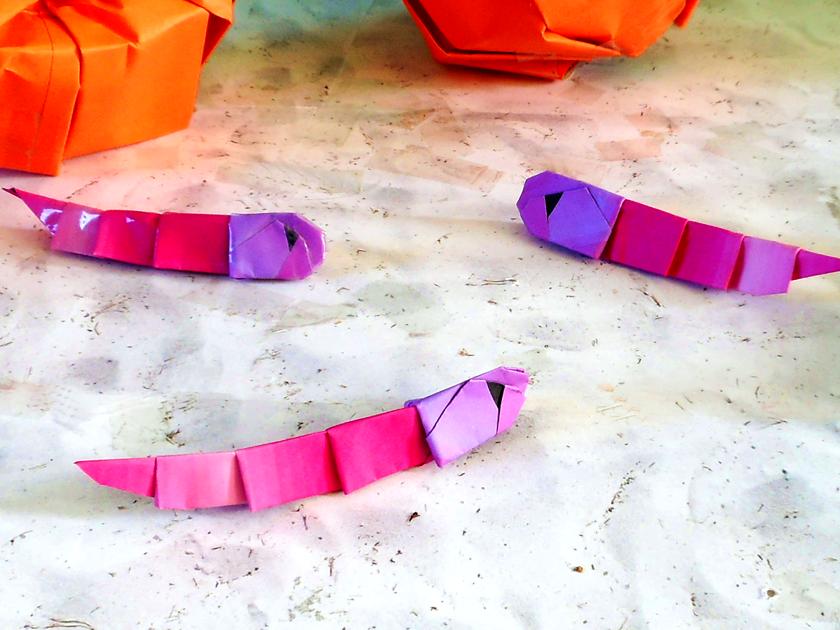 Origami Worms