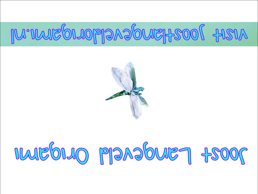 Origami Dragonfly greeting card
