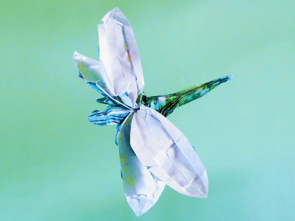 Kaartje met een Origami Libelle