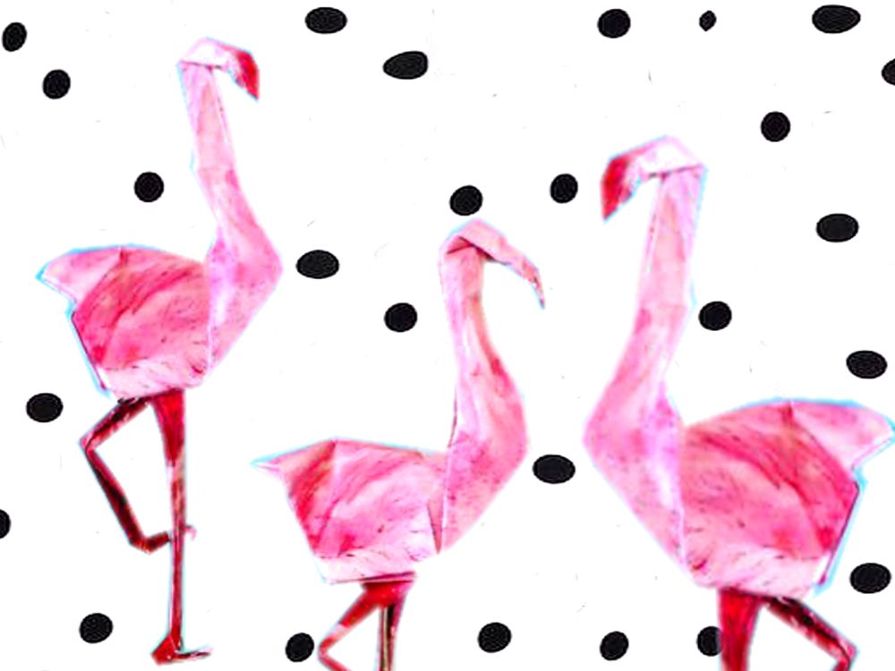 Kaartje met Flamingos