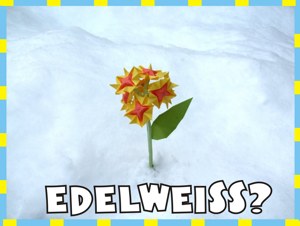 Card with a sunny origami flower in real snow