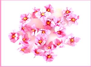 Bloemenkaartje met roze bloemetjes