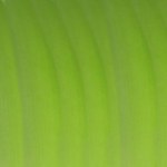 groen vouwpapier voor de bladeren van een azalea