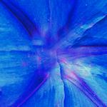 blauw vouwblaadje voor een mooie bloem