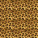 patroon voor een cheetah van papier